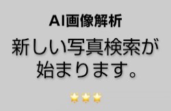 AI画像解析・検索